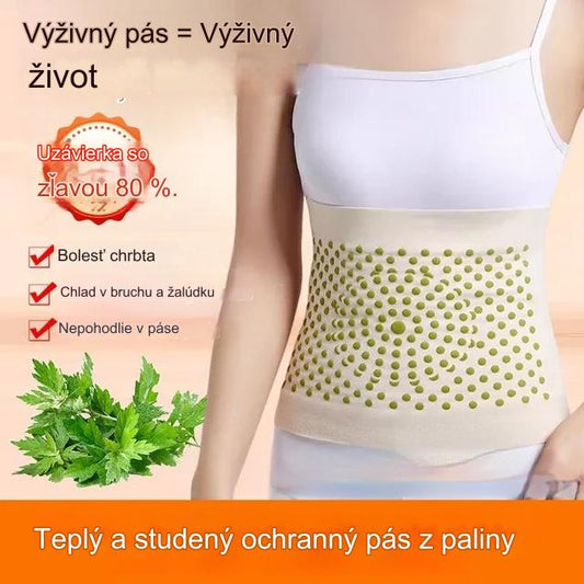 🔥【kúpte jeden a dostanete jeden zadarmo】🔥Teplý vyhrievací pás z paliny, zahrieva brucho a zmierňuje nepohodlie